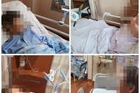 9월3일 티슈나무~ 
