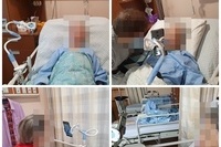 9월10일 띠골판지활용(고추잠자리) 