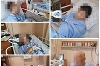 9월14일 인지미술(나무그늘)