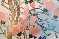 3월 13일 작업요법활동(목련꽃)