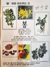3월21일 인지활동 (춘분)